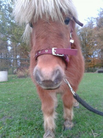 Hou zoveel van haarr loveyou Lau <3